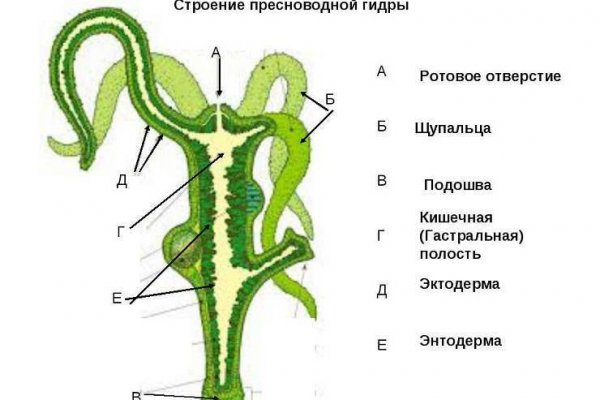 Кракен актуальная ссылка тор