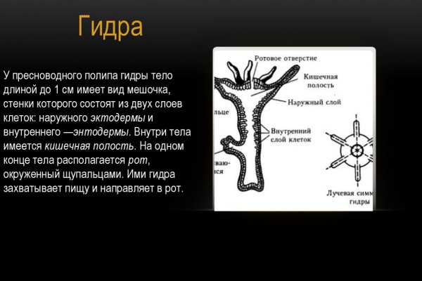 Кракен это известный маркетплейс